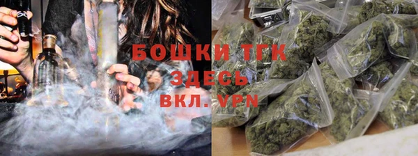 индика Вяземский