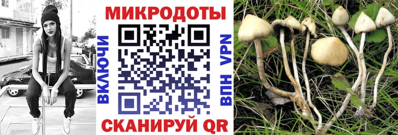 Псилоцибиновые грибы GOLDEN TEACHER OMG сайт Подпорожье