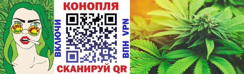 купить наркотики цена  Подпорожье  Бошки марихуана тримм 